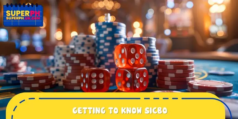Getting to know Sicbo