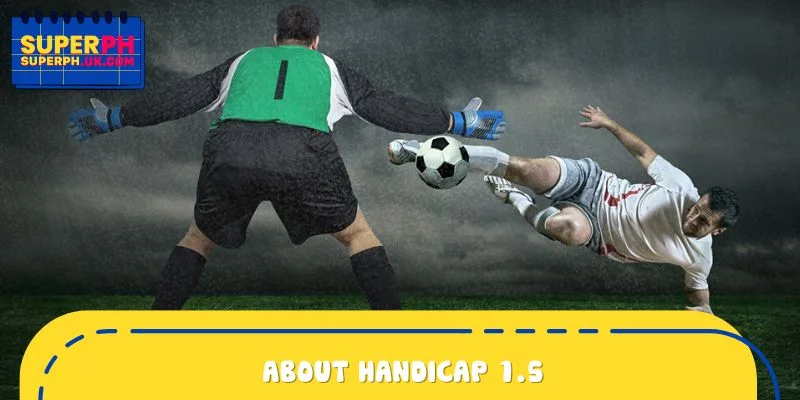 About Handicap 1.5